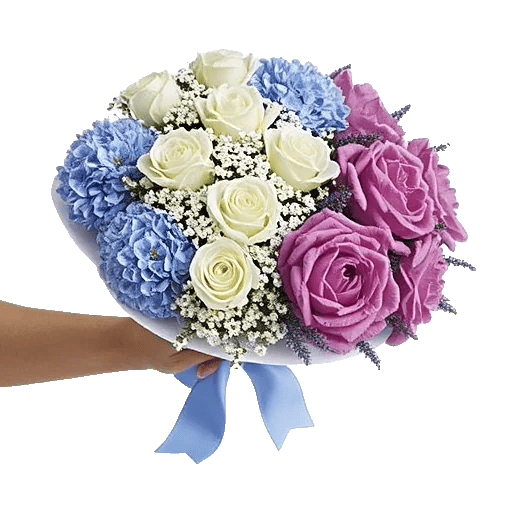 Serene Petal Harmony