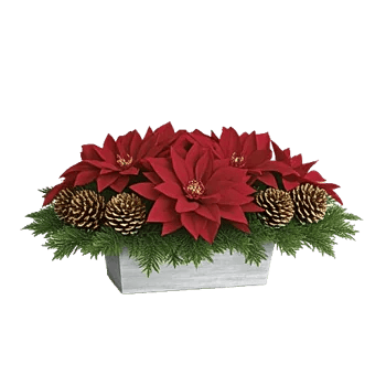 Petal Radiance Bliss