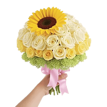 Twinkling Sunflower Dance