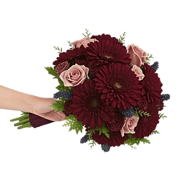 Deep Red Foliage