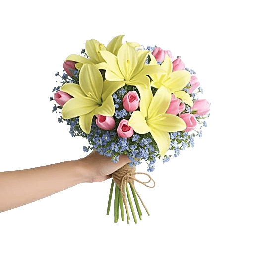 Blossom Harmony Display