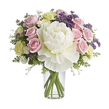 Ivory Blossom Radiance