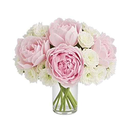 Petal Radiance Bliss