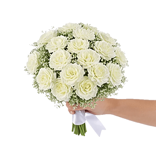 Delicate Petal Cascade