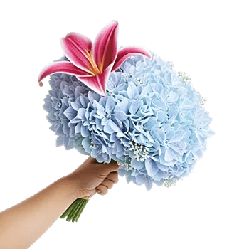 Blooming Serenity Display