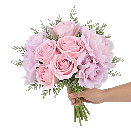 Pastel Pink Roses
