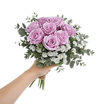 Petal Softness Display