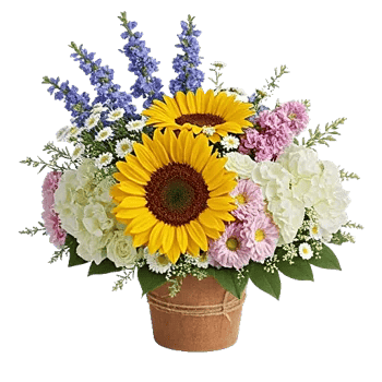 Amber Sunflower Glow