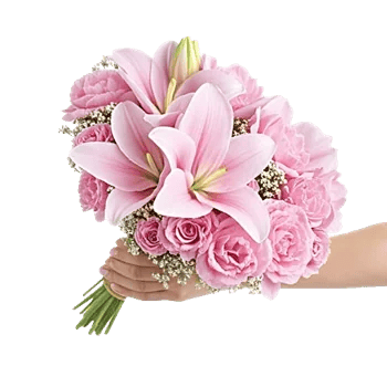 Peony Petal Harmony