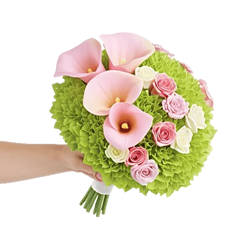 Elegant Calla Lilies