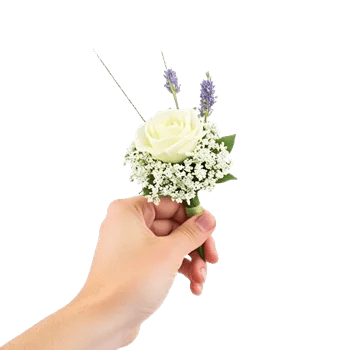 Delicate Petal Cascade