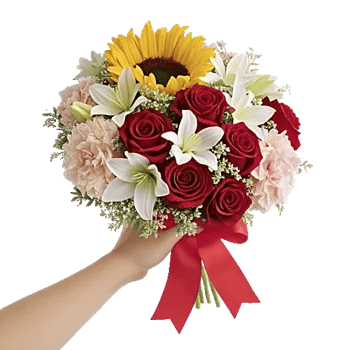 Crimson Rose Elegance