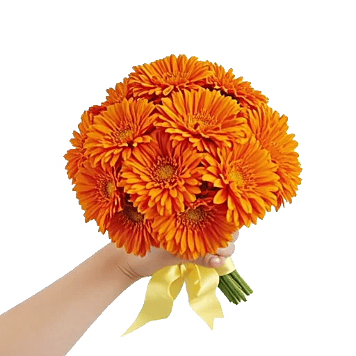 Vibrant Orange Delight