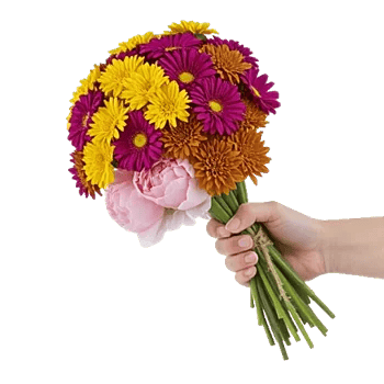 Golden Petal Harmony