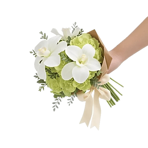 Minimalist White Orchids