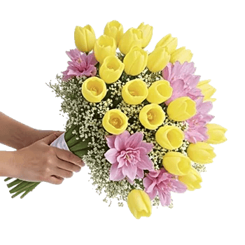 Blossom Harmony Display