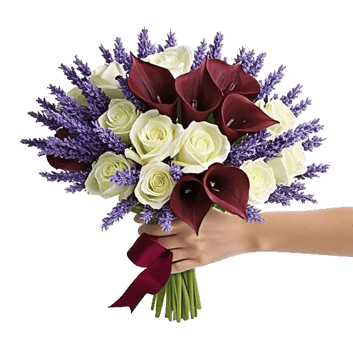 Elegant Calla Lilies