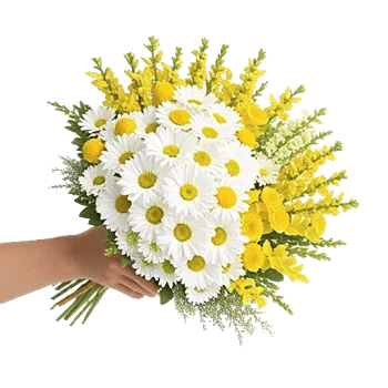 Petal Harmony Bliss