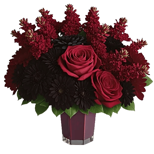 Crimson Blossom Harmony