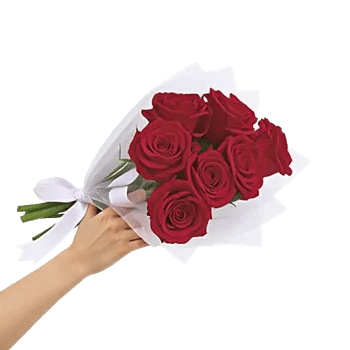 Crimson Rose Elegance