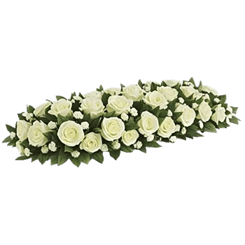 Delicate Petal Cascade