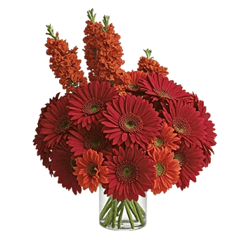 Crimson Blossom Harmony