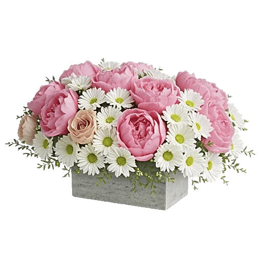 Delicate Petal Cascade
