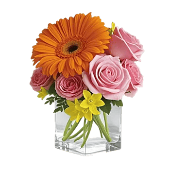 Petal Radiance Bliss