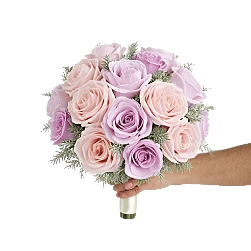 Pastel Pink Roses