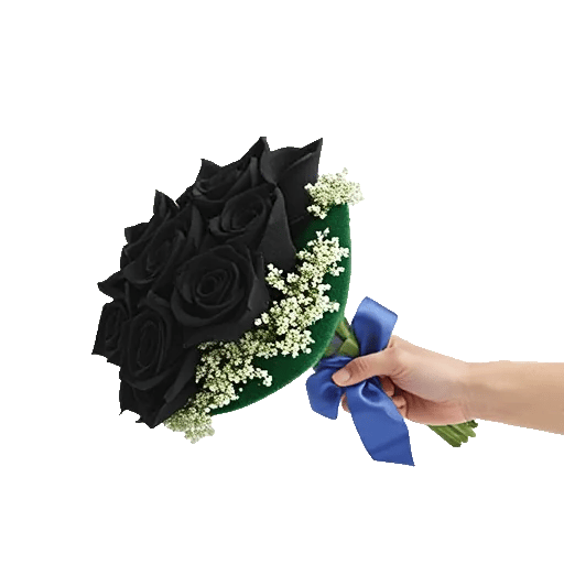 Elegant Calla Lilies