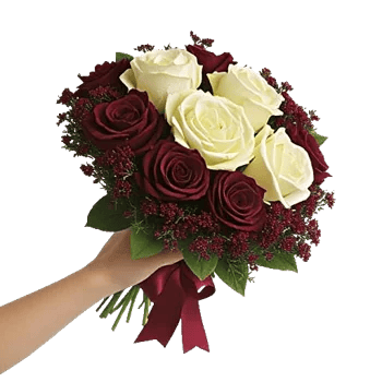 Crimson Rose Elegance