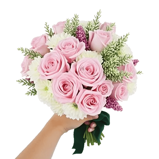 Pastel Pink Roses