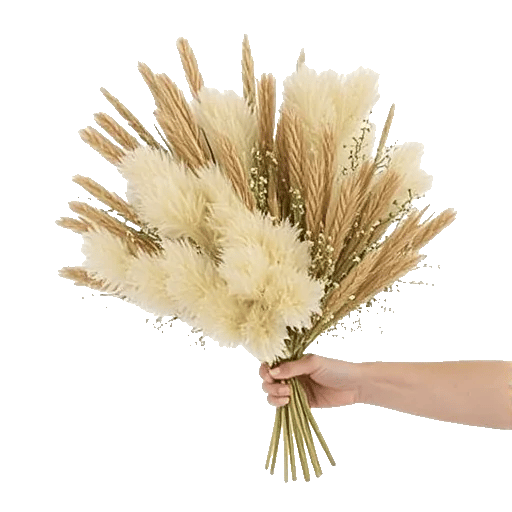 Daisy Meadow Spread