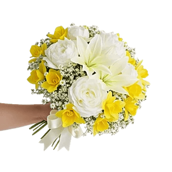 Ivory Blossom Radiance