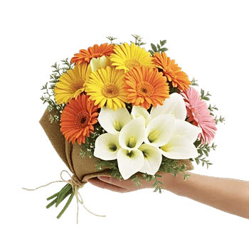 Petal Harmony Bliss