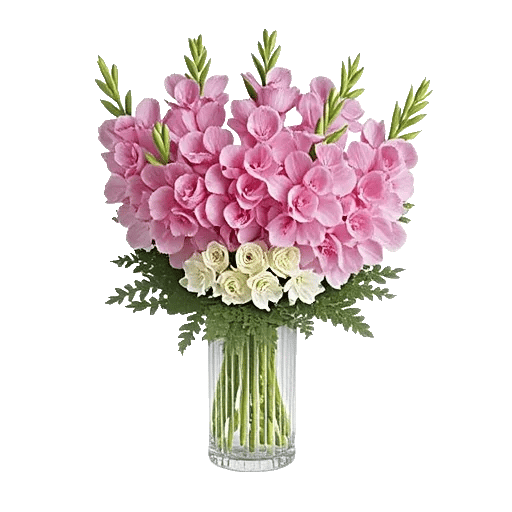Petal Radiance Bliss