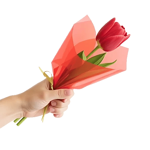 Scarlet Tulip Splendor