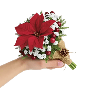 Crimson Rose Elegance