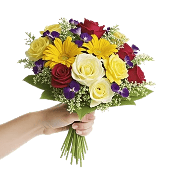 Blossom Harmony Display