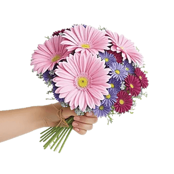 Blossom Petal Serenity