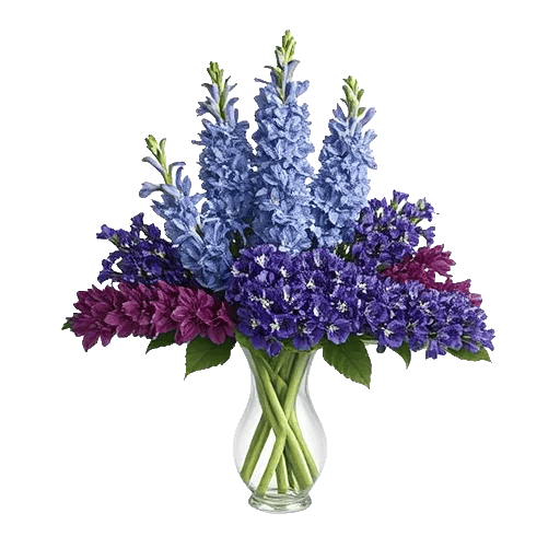 Sapphire Bloom Whisper