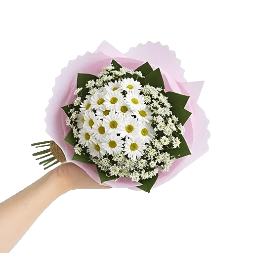 Delicate Petal Cascade