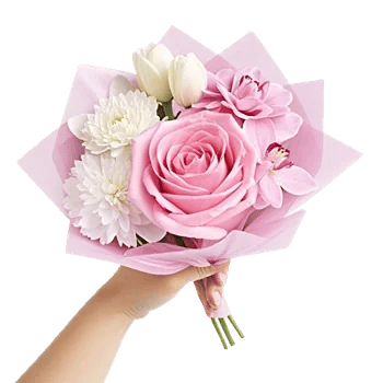 Pastel Pink Roses