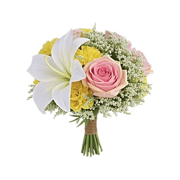 Blossom Petal Serenity