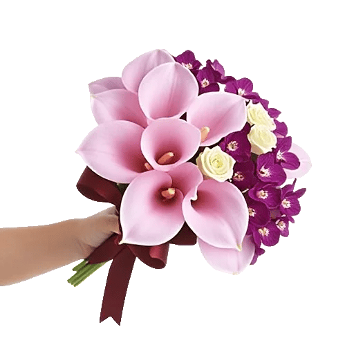 Elegant Calla Lilies