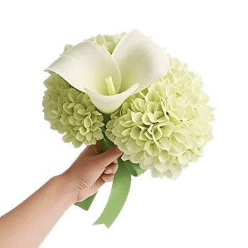 Elegant Calla Lilies