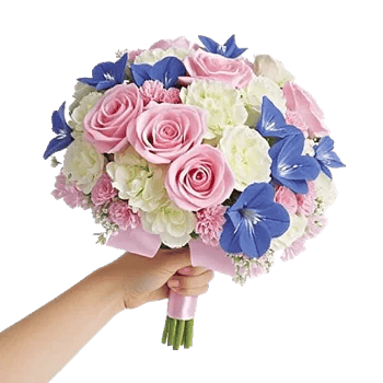 Serene Petal Harmony