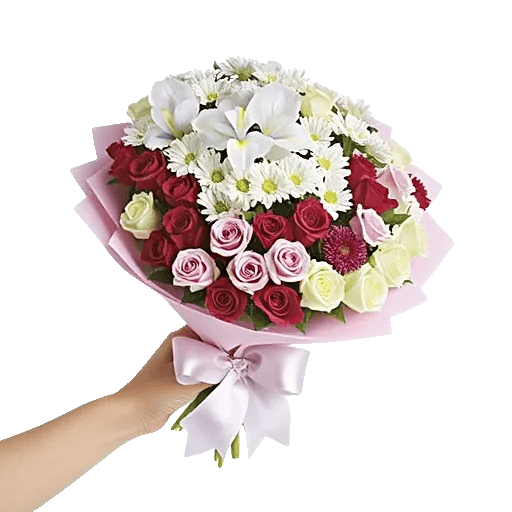 Ivory Blossom Radiance
