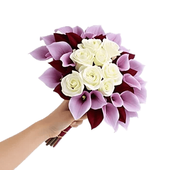 Elegant Calla Lilies