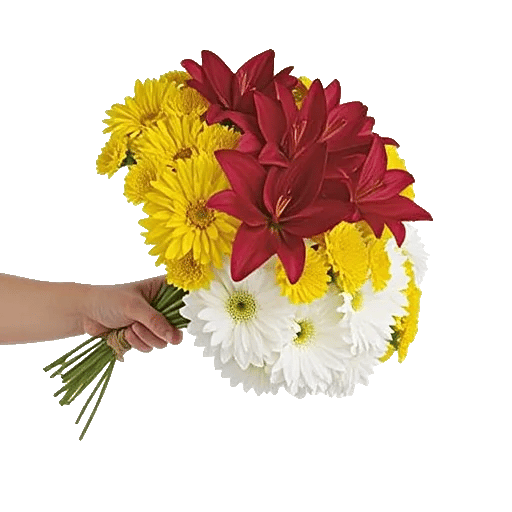 Crimson Blossom Harmony